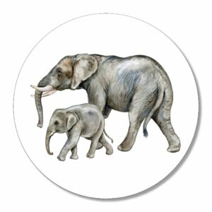 muurcirkel olifant