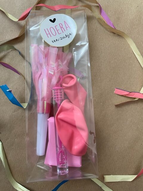 hoera een zusje geboorte zusje